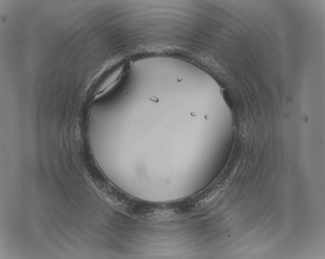 X0000073710256200608311802