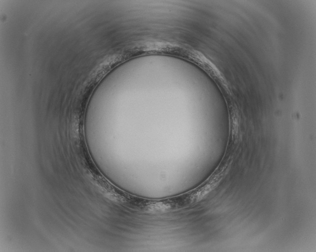 X0000073710257200608311802