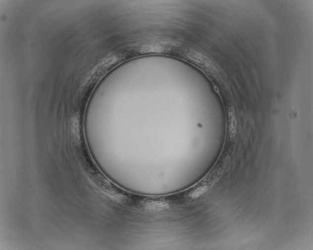 X0000073710258200608311802