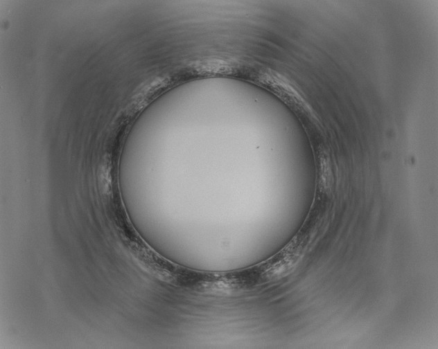 X0000073710259200608311802