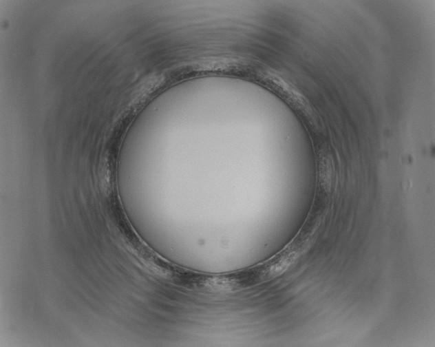 X0000073710261200608311802