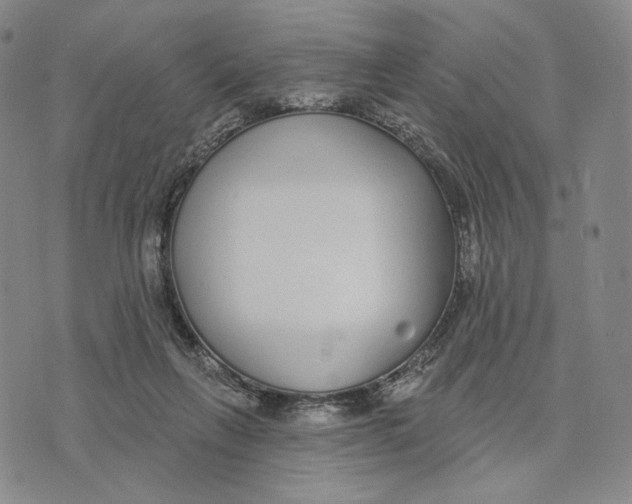 X0000073710263200608311802