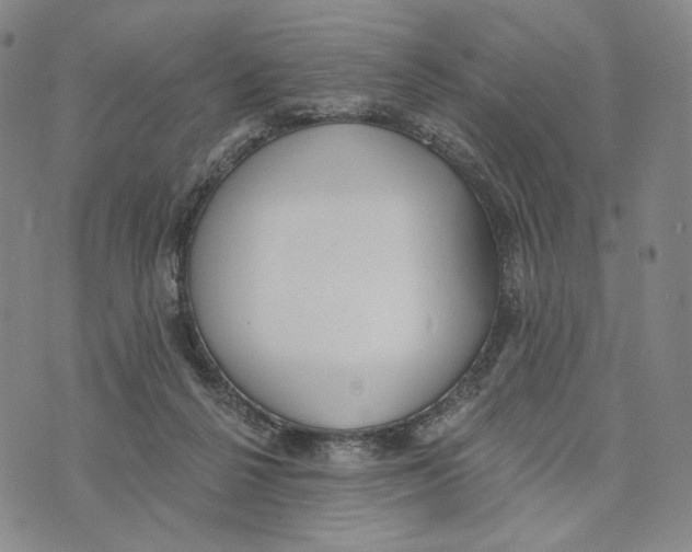 X0000073710264200608311802