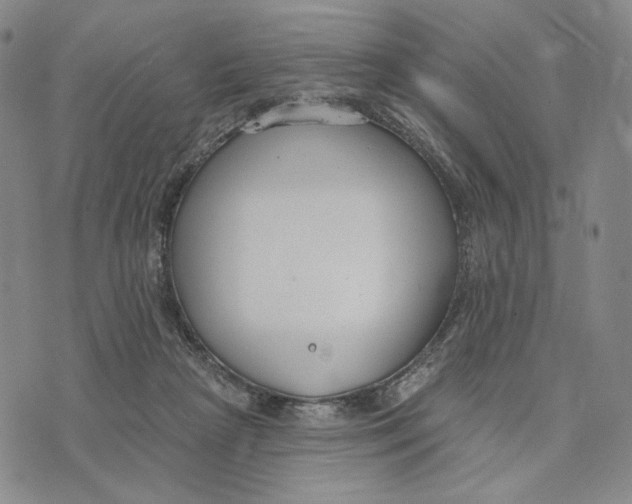 X0000073710265200608311802