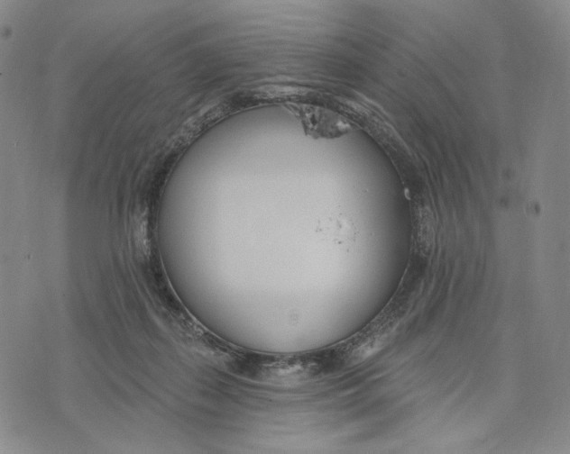 X0000073710267200608311802