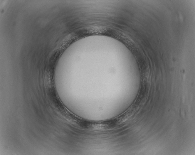 X0000073710268200608311802