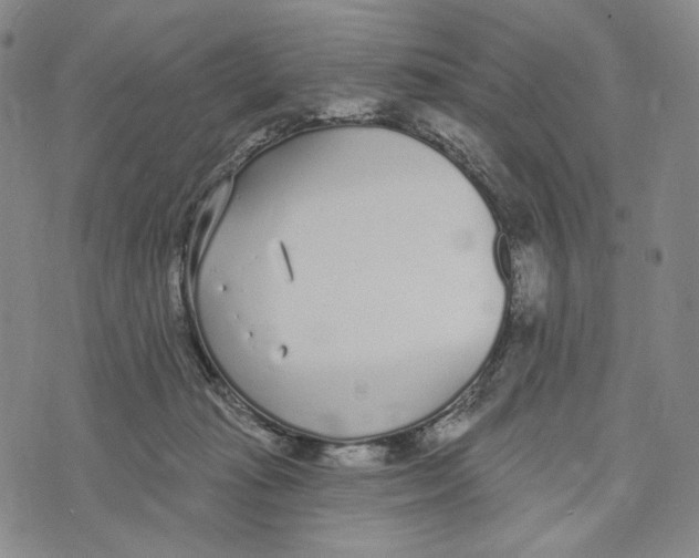 X0000073710269200608311802