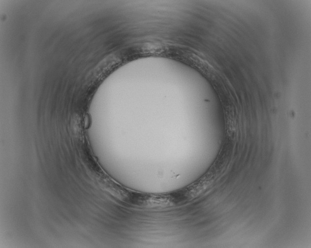 X0000073710270200608311802