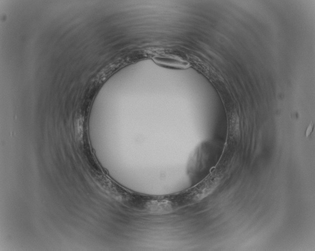 X0000073710271200608311802