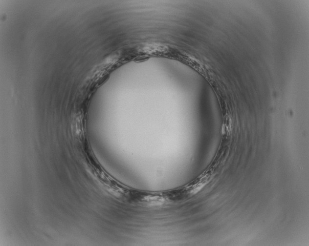 X0000073710272200608311802