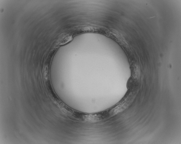 X0000073710273200608311802