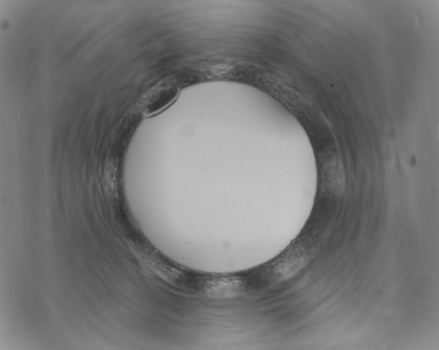 X0000073710274200608311802