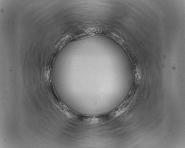 X0000073710276200608311802