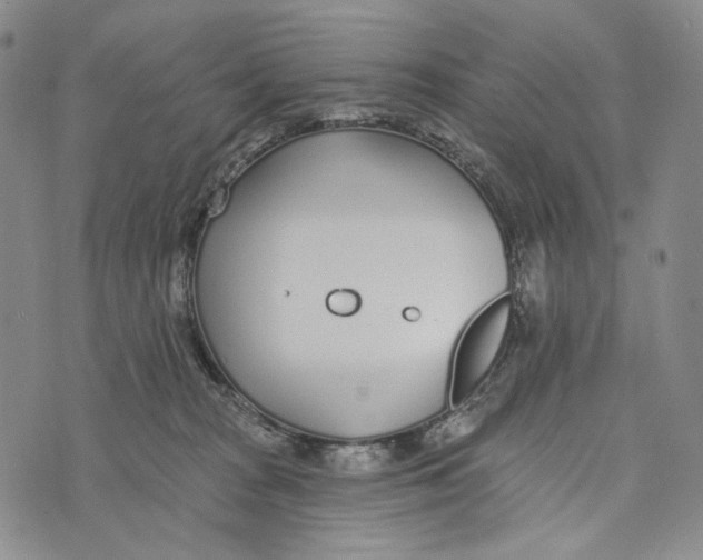 X0000073710277200608311802