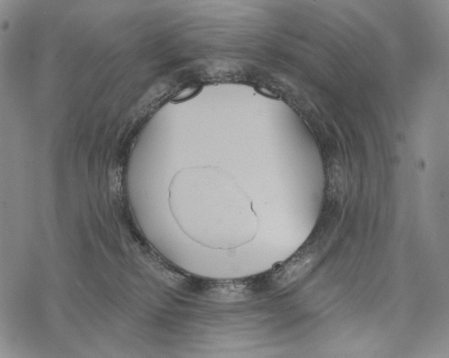 X0000073710278200608311802