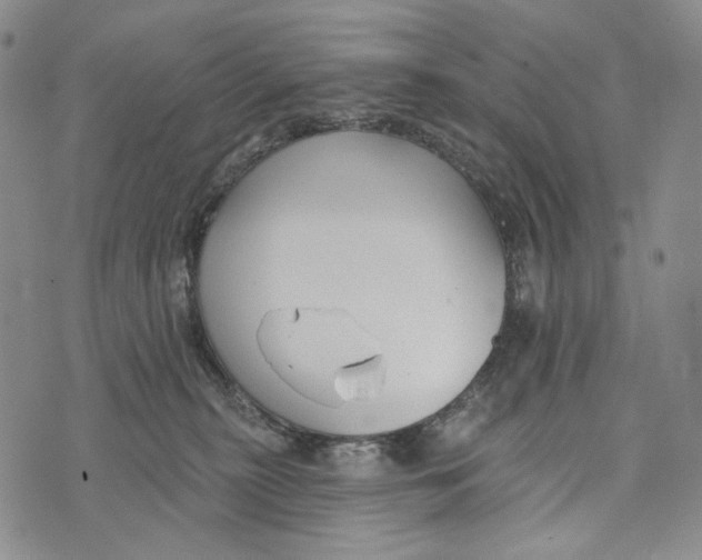 X0000073710279200608311802