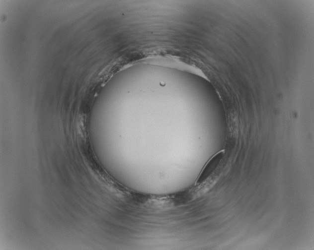 X0000073710280200608311802