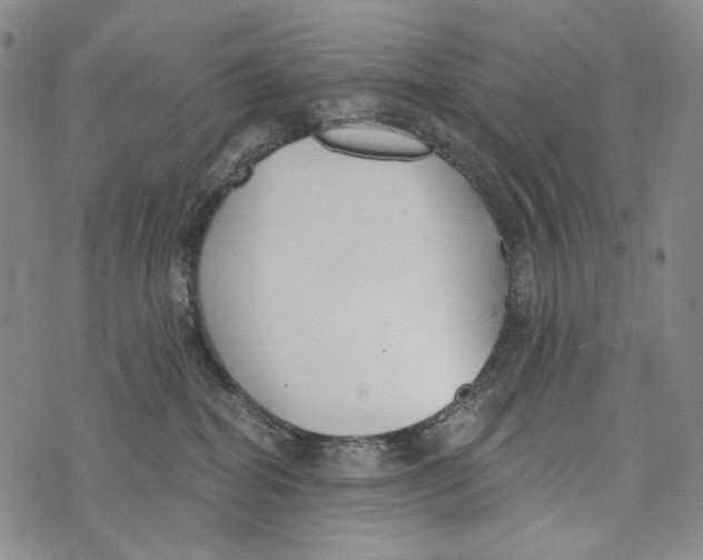 X0000073710282200608311802