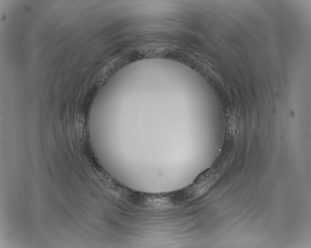 X0000073710283200608311802