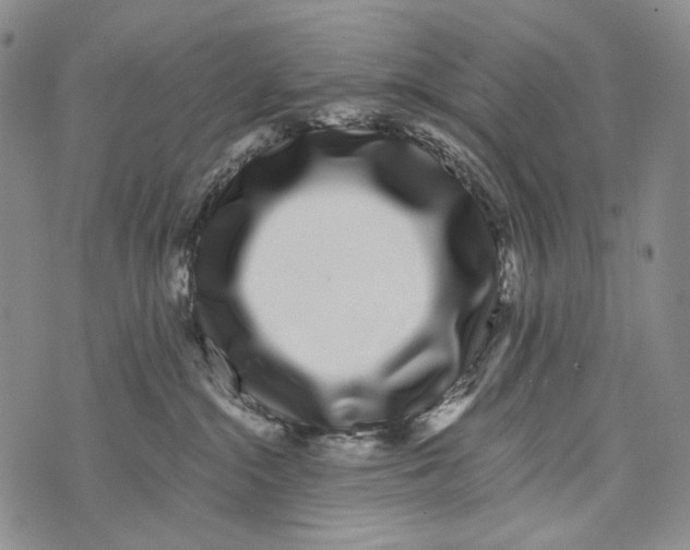 X0000073710284200608311802