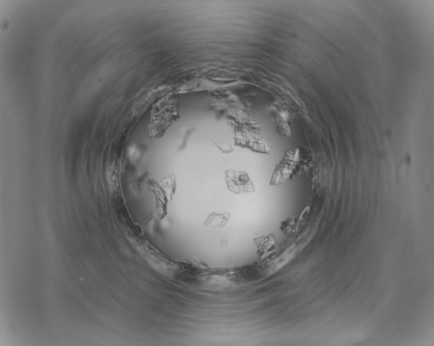 X0000073710285200608311802