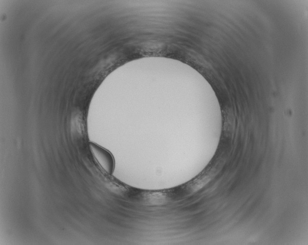 X0000073710287200608311802