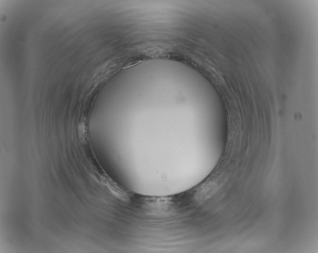 X0000073710288200608311802