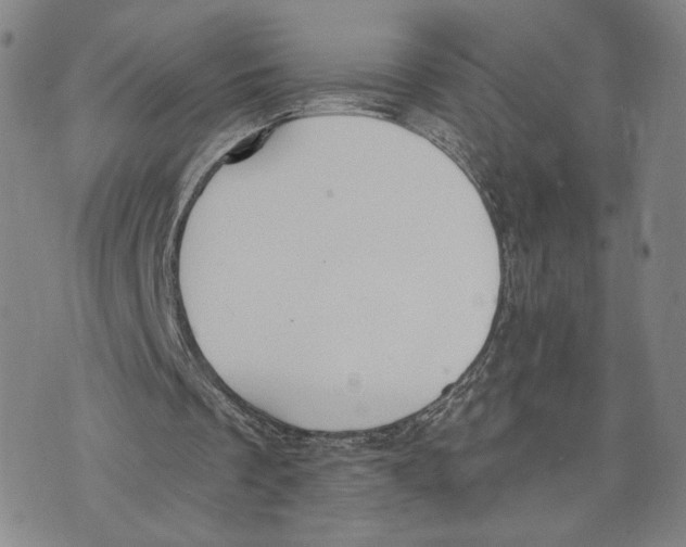 X0000073710289200608311801