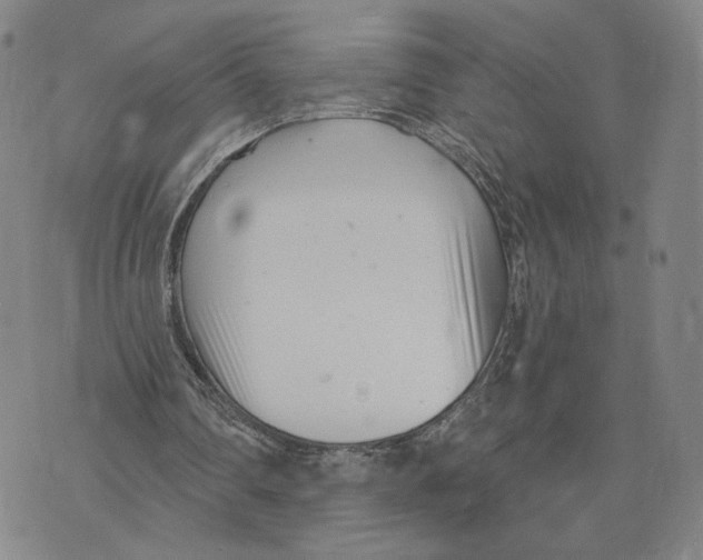 X0000073710290200608311801