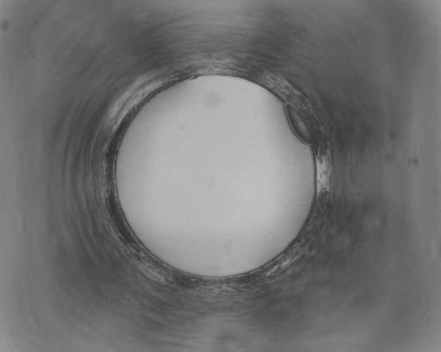 X0000073710291200608311801