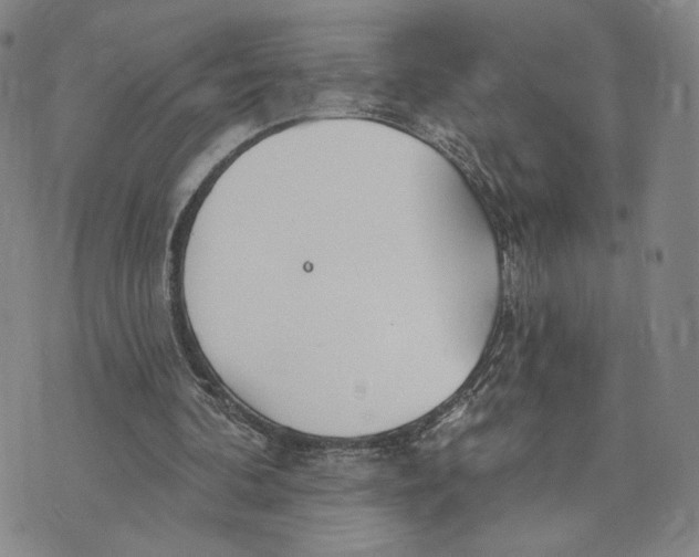 X0000073710292200608311801