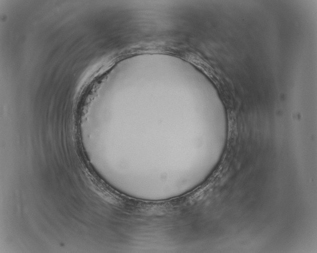 X0000073710293200608311801