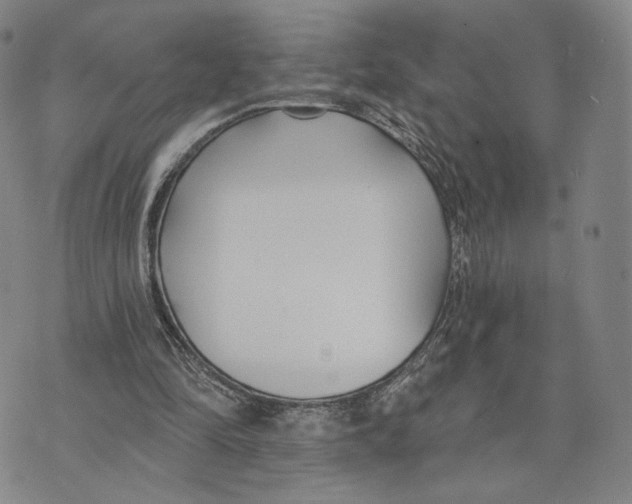 X0000073710294200608311801