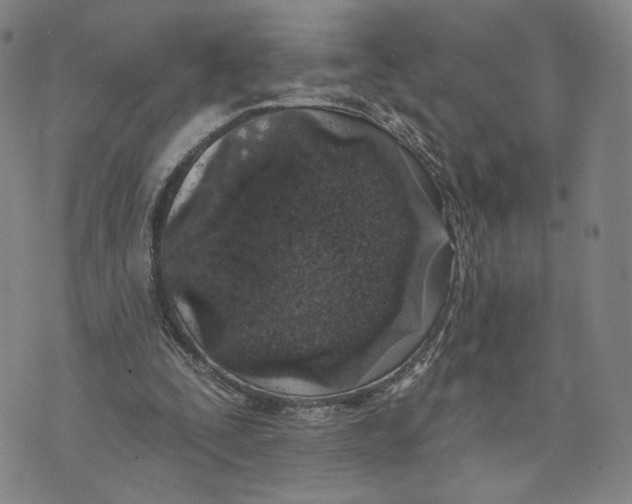 X0000073710295200608311801