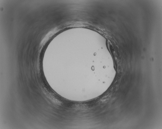 X0000073710296200608311801