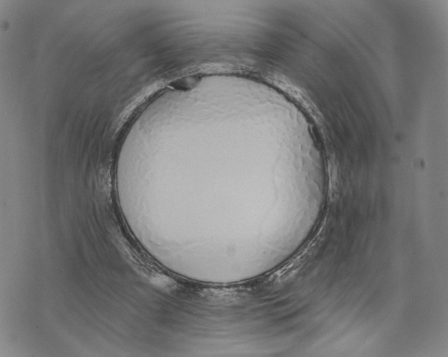 X0000073710297200608311801