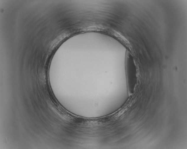 X0000073710298200608311801