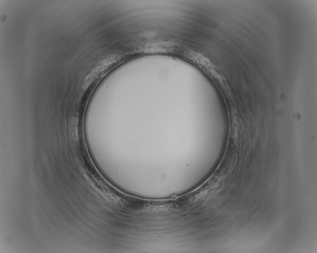 X0000073710299200608311801