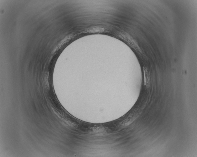 X0000073710300200608311801