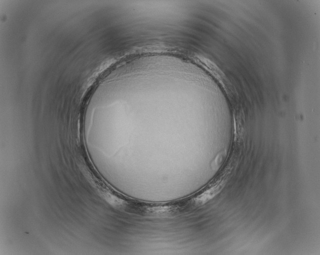 X0000073710301200608311801