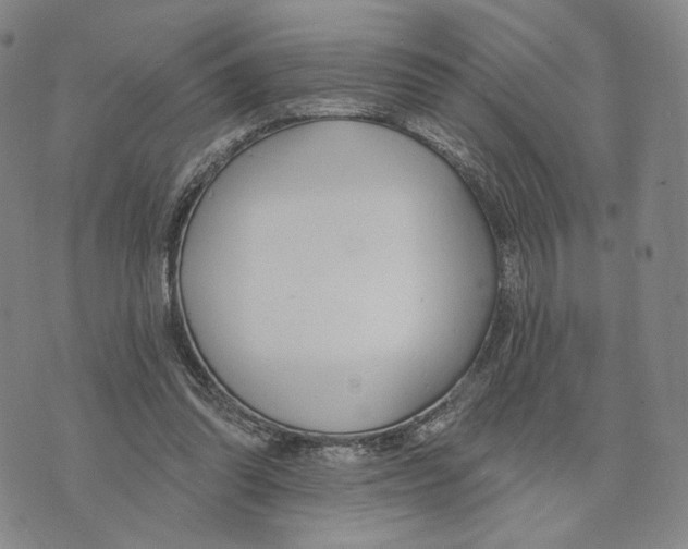 X0000073710302200608311801