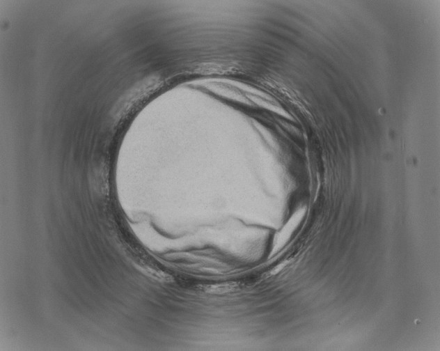 X0000073710303200608311801