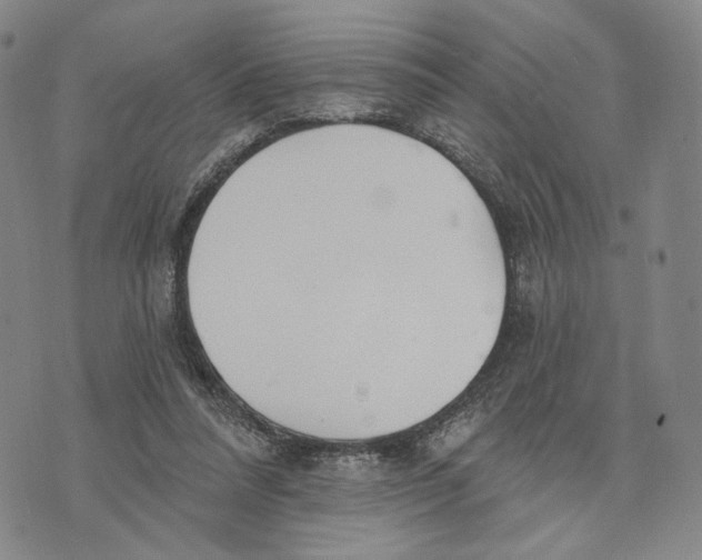 X0000073710304200608311801