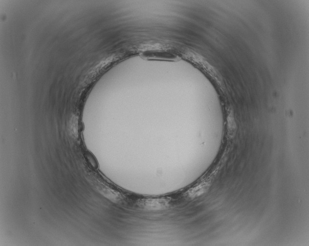 X0000073710305200608311801