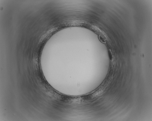 X0000073710306200608311801