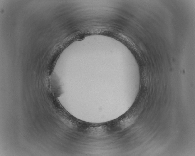 X0000073710307200608311801