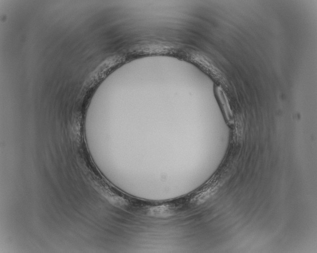 X0000073710309200608311801