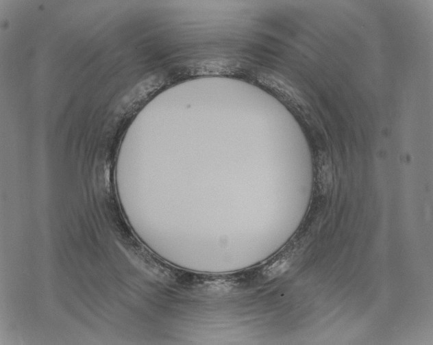 X0000073710310200608311801