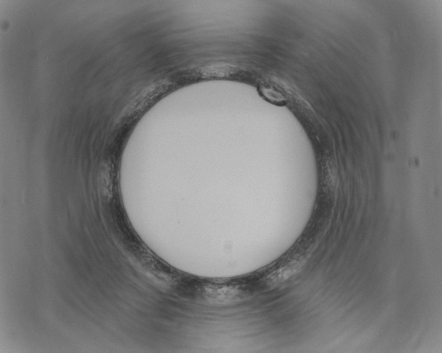 X0000073710311200608311801