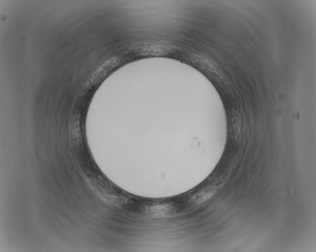 X0000073710312200608311801